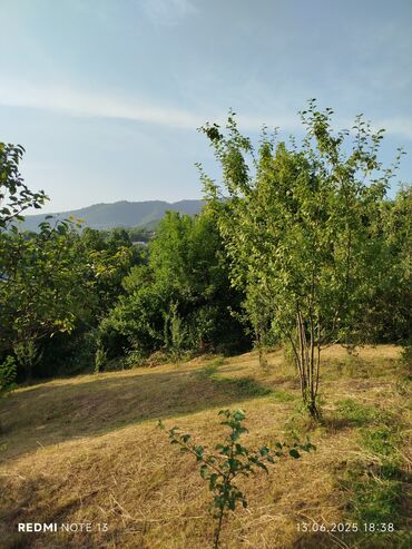 Torpaq sahələrinin satışı: 186 sot, Tikinti, Maklerlər narahat etməsin, Kupça (Çıxarış) — 25