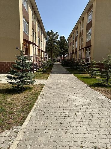 Посуточная аренда квартир: Сдается большая двухкомнатная квартира в ЦО Лазурный берег, село - — 11