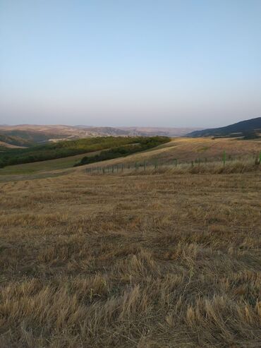 Torpaq sahələrinin satışı: 300 sot, Kənd təsərrüfatı, Mülkiyyətçi -da lalafo.az — 9 Torpaq sahələrinin satışı: 300 sot, Kənd təsərrüfatı, Mülkiyyətçi — 9