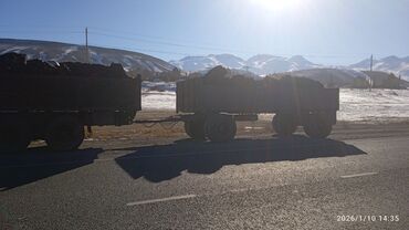 Грузовики: Грузовик, Камаз, Б/у — 19