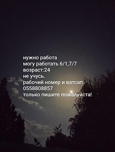студентов: Услуга: соискатель на полную занятость - Готов работать по графику — 1