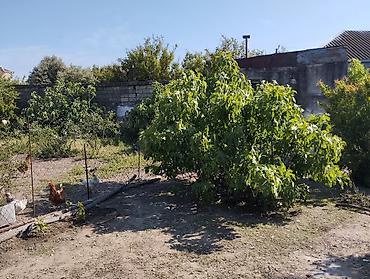 Həyət evləri və villalar: 150 kv. m, 3 otaqlı, Kombi, Qaz, İşıq — 3