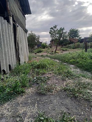 Кыймылсыз мүлк: Продаётся земельный участок с домом и хозяйственными постройками — 7