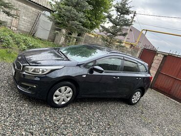 толк сатам: Kia Ceed: 2015 г., 1.4 л, Механика, Бензин, Универсал