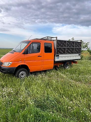 Транспорт: Mercedes-Benz Спринтер: 2004 г., 2.2 л, Механика, Дизель — 2