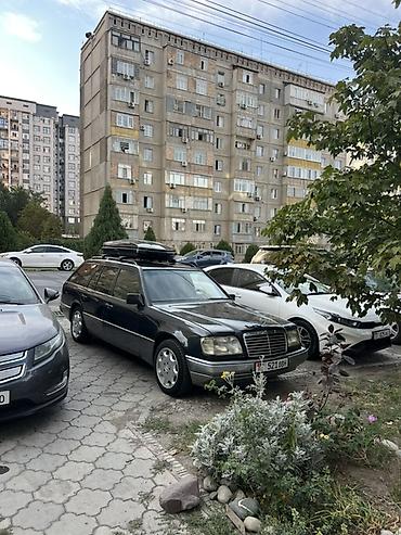 124 e500: Mercedes-Benz W124: 1992 г., Универсал — 5