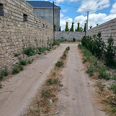 bartee: 10 sot, Tikinti, Mülkiyyətçi — 2