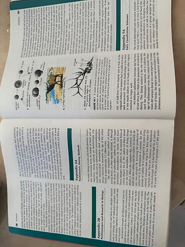 Книги и журналы: Məhsul: Biologiya üzrə illüstrasiyalı dərslik/kitab Xüsusiyyətlər: - — 2