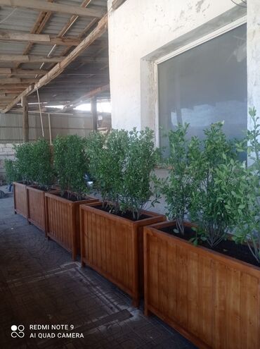 Bitkilər üçün dibçəklər: Dibçək güldanlar. Dipçəklər bir başa sexdən.Sex qiymətinə. ♦️Endrim — 7