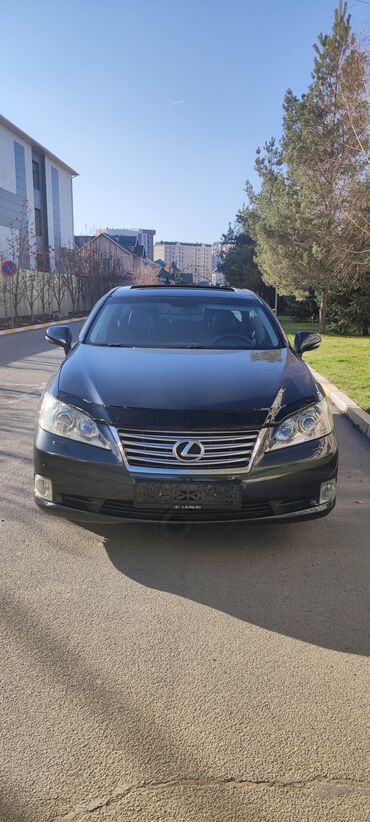 Lexus: Lexus ES: 2010 г., 3.5 л, Типтроник, Бензин, Седан