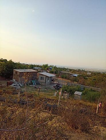 Продажа домов: Дача, 45 м², 1 комната, Собственник, Старый ремонт — 8