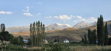 раздольное село: 5 соток, Для строительства, Красная книга