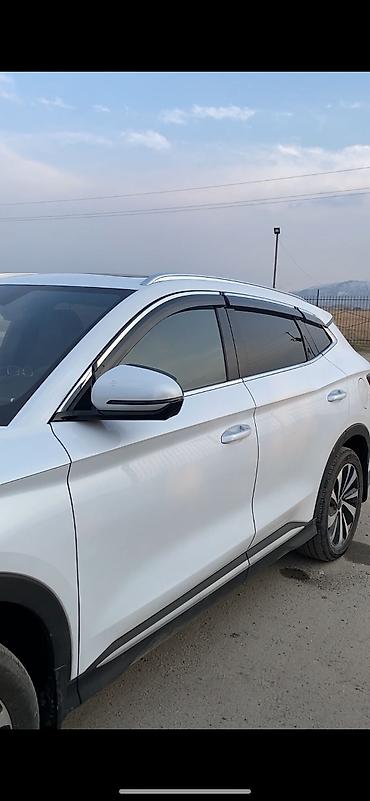 byd e2 2024: Ветровики на окна BYD, 2024 г., Новый, Платная доставка, Самовывоз — 2