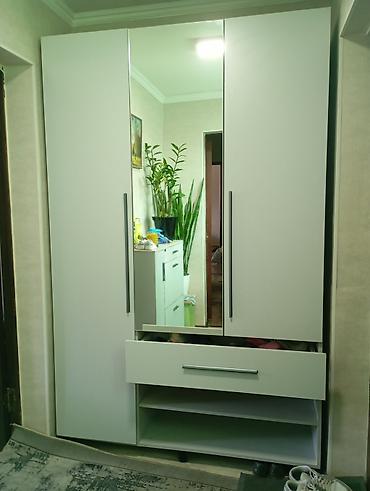 Шкафы-прихожие: Шкаф-прихожая, С зеркалом — 12