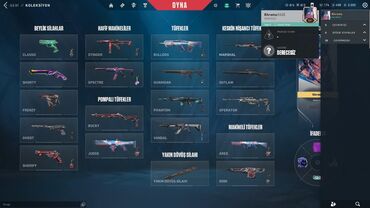 Digər oyun və konsollar: 115 azn, sekilde gorduyunuz her sey ve elave 2 battlepass dan skinler