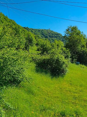 4 otaqlı ev certyojları: 3 otaqlı, 110 kv. m, Kredit yoxdur, Yeni təmirli — 5