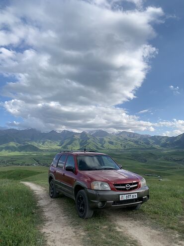 мазда кроссовер: Mazda Tribute: 2001 г., 3 л, Автомат, Газ, Кроссовер