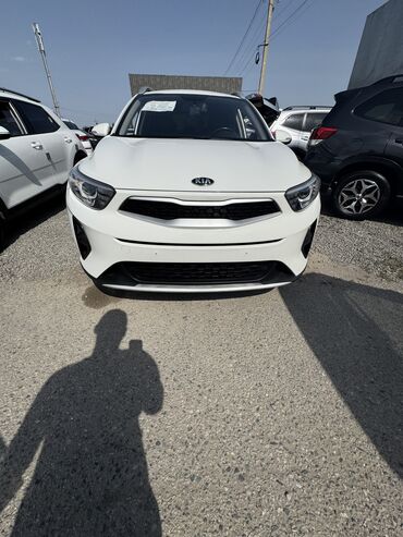 Kia: Kia Stonic: 2019 г., 1.4 л, Автомат, Бензин