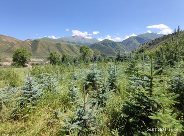 Продажа участков: 255 соток, Для сельского хозяйства — 15