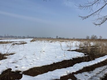 продажа коттедж: Для сельского хозяйства, Красная книга, Договор купли-продажи