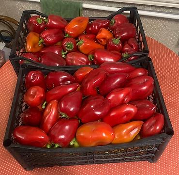 Ящики: Ящик — 14