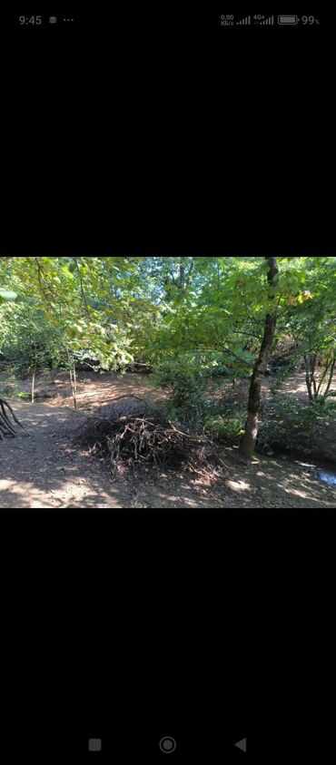 Bağ evlərinin satışı: Lənkəran rayonun Biləsər kəndinin mərkəzində Xanbulan gölünün — 7