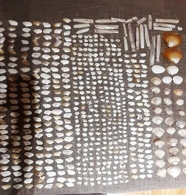 Ostali kućni dekor: Bоја - Šareno, Novo — 3