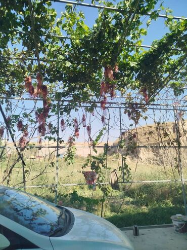 Продажа участков: 300 соток, Для сельского хозяйства, Красная книга — 3