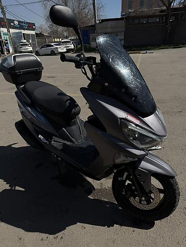 Скутеры: Скутер DUL DUL Задняя шина новая Колодки менял Масло менял все — 1