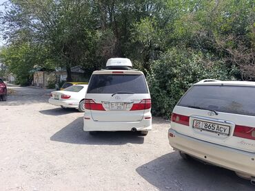 corolla runx: Toyota Alphard: 2007 г., 3 л, Автомат, Газ, Вэн/Минивэн