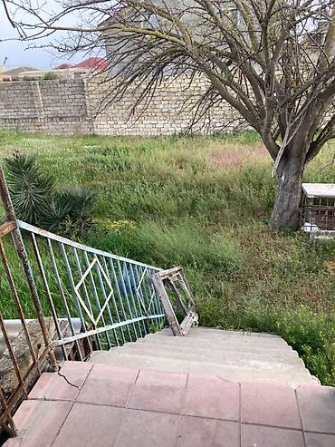 sabuncuda: 15 sot, Tikinti, Mülkiyyətçi, Texniki pasport — 6