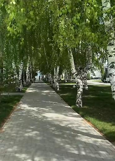 Аренда коттеджей и домов на Иссык-Куле: Коттедж, Сары-Ой, 10 мест — 20