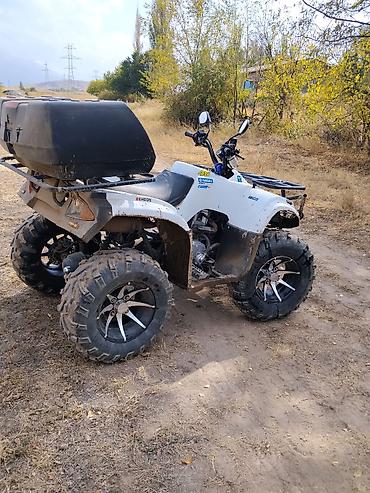 ямаха ф600: Квадроцикл Yamaha, Бензин, 250 куб. см, Взрослый — 2