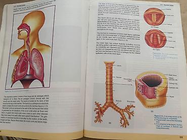 Книги и журналы: Məhsul: “Biology 3” dərsliyi Nəşriyyat: Sürat Publications ( — 5