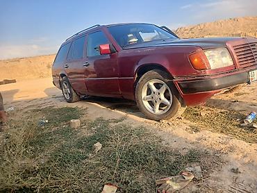 коса на мерс: Mercedes-Benz W124: 1991 г., 2.9 л, Механика, Дизель, Универсал — 1