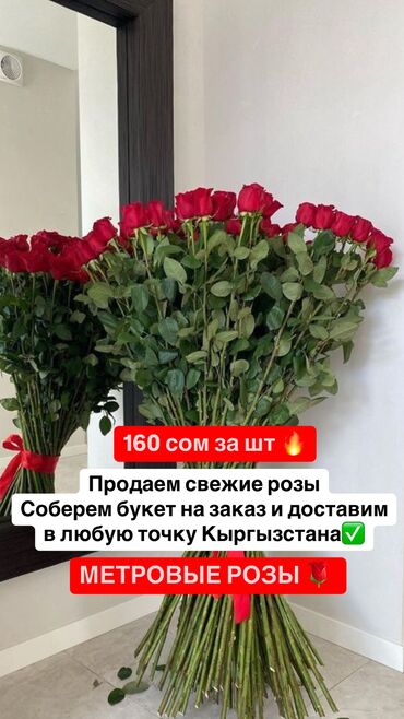 букет цветов бишкек: Метровые голландские розы 🌹 
Звоните и пишите на номер ✅