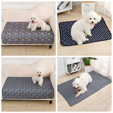 Зоотовары: Продаю новые в отличном качестве лотки крытые и открытые,а так же at lalafo.kg — 9 Зоотовары: Продаю новые в отличном качестве лотки крытые и открытые,а так же — 9