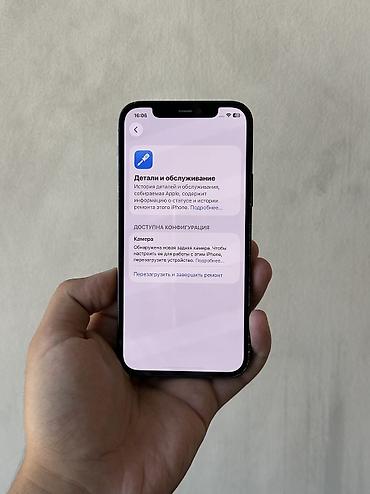 айклауде: IPhone 12 Pro, Б/у, 256 ГБ, Pacific Blue, Чехол, 90 % — 4
