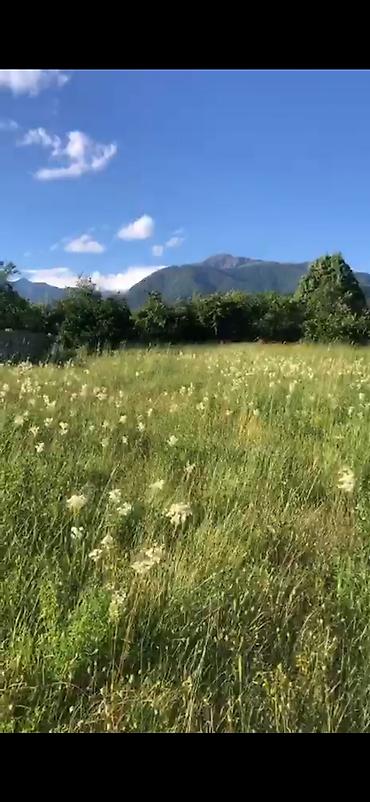 qalada torpaq: 52 sot, Kənd təsərrüfatı, Mülkiyyətçi, Kupça (Çıxarış) — 2