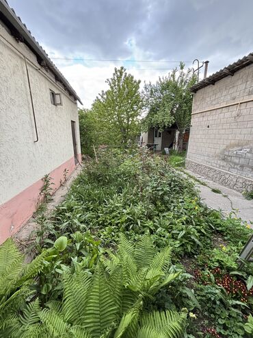 Продажа участков: 6 соток, Для бизнеса, Красная книга, Тех паспорт, Договор купли-продажи