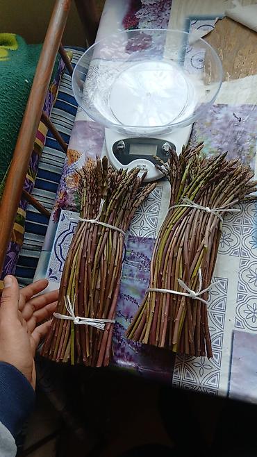 balıq məhsullarının satışı: Məhsul: Təzə vəhşi qulançar (asparagus) dəstələri Təsvir: - Incə — 1