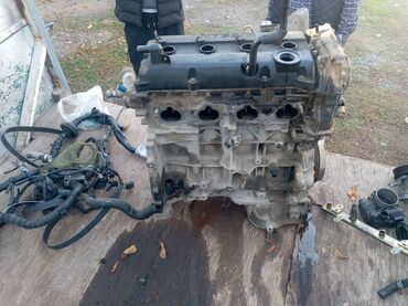 купить двигатель ниссан навара 2.5 дизель: Бензиндик кыймылдаткыч Nissan 2 л