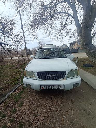 Subaru: Subaru Forester: 2000 г., 2 л, Автомат — 10