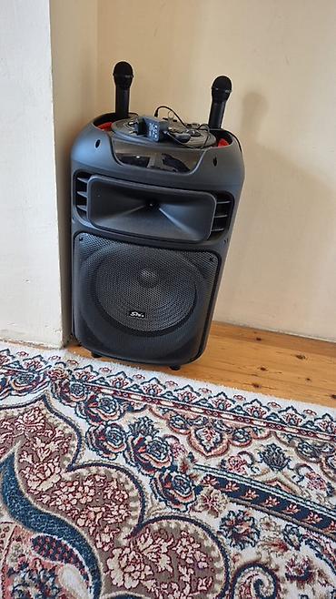 Караоке: Daşınan karaoke səs sistemi – SIno ZQS1511S - Güclü aktiv akustika — 2