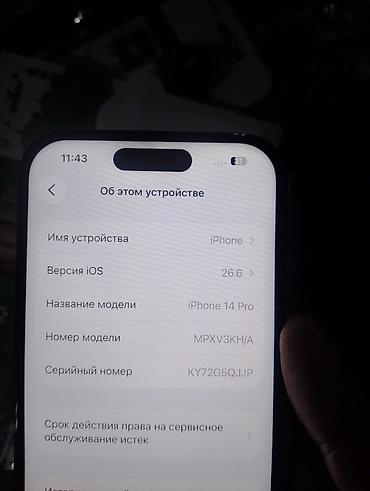 thinkpad t14s: IPhone 14 Pro, модель MPXV3KH/A (серийный номер на фото). На iOS 26.6 — 4