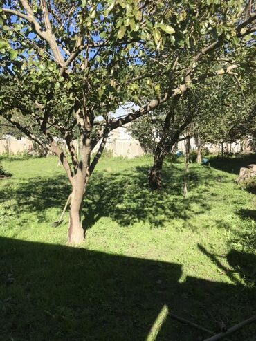 Həyət evləri və villaların satışı: 5 otaqlı, 200 kv. m -da lalafo.az — 5 Həyət evləri və villaların satışı: 5 otaqlı, 200 kv. m — 5