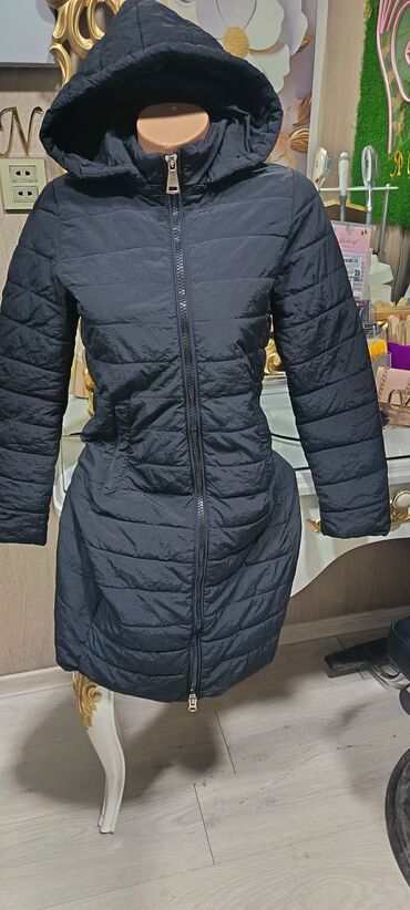 Kurtkalar: Balonka unvan bine savxoz 3 ədət var — 10