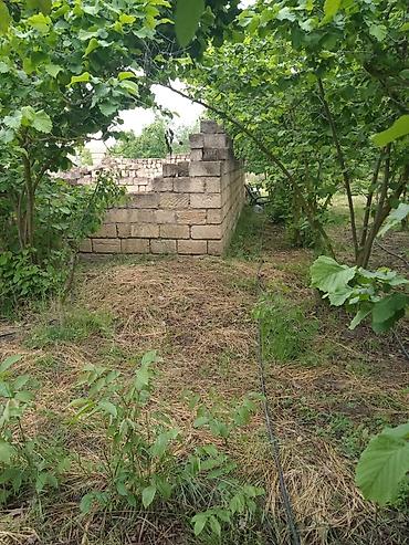 yeni əmlak az: 4 sot, Tikinti, Kupça (Çıxarış) — 8