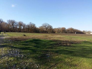 Torpaq sahələrinin satışı: 200 sot, Biznes üçün, Maklerlər narahat etməsin, Kupça (Çıxarış) -da lalafo.az — 9 Torpaq sahələrinin satışı: 200 sot, Biznes üçün, Maklerlər narahat etməsin, Kupça (Çıxarış) — 9