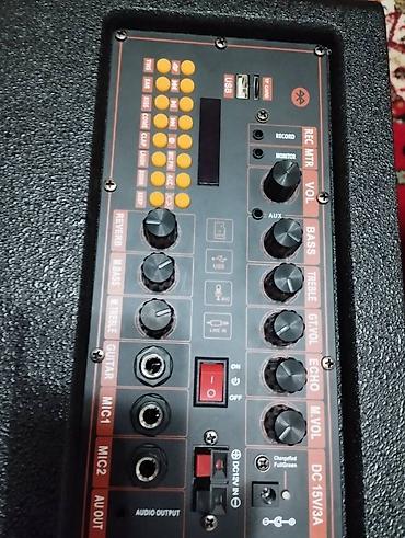 Динамики и колонки: Продаю новую малогабаритную, но тяжелую колонку с качественными — 2